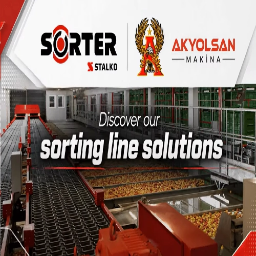 SORTER&STALKO 