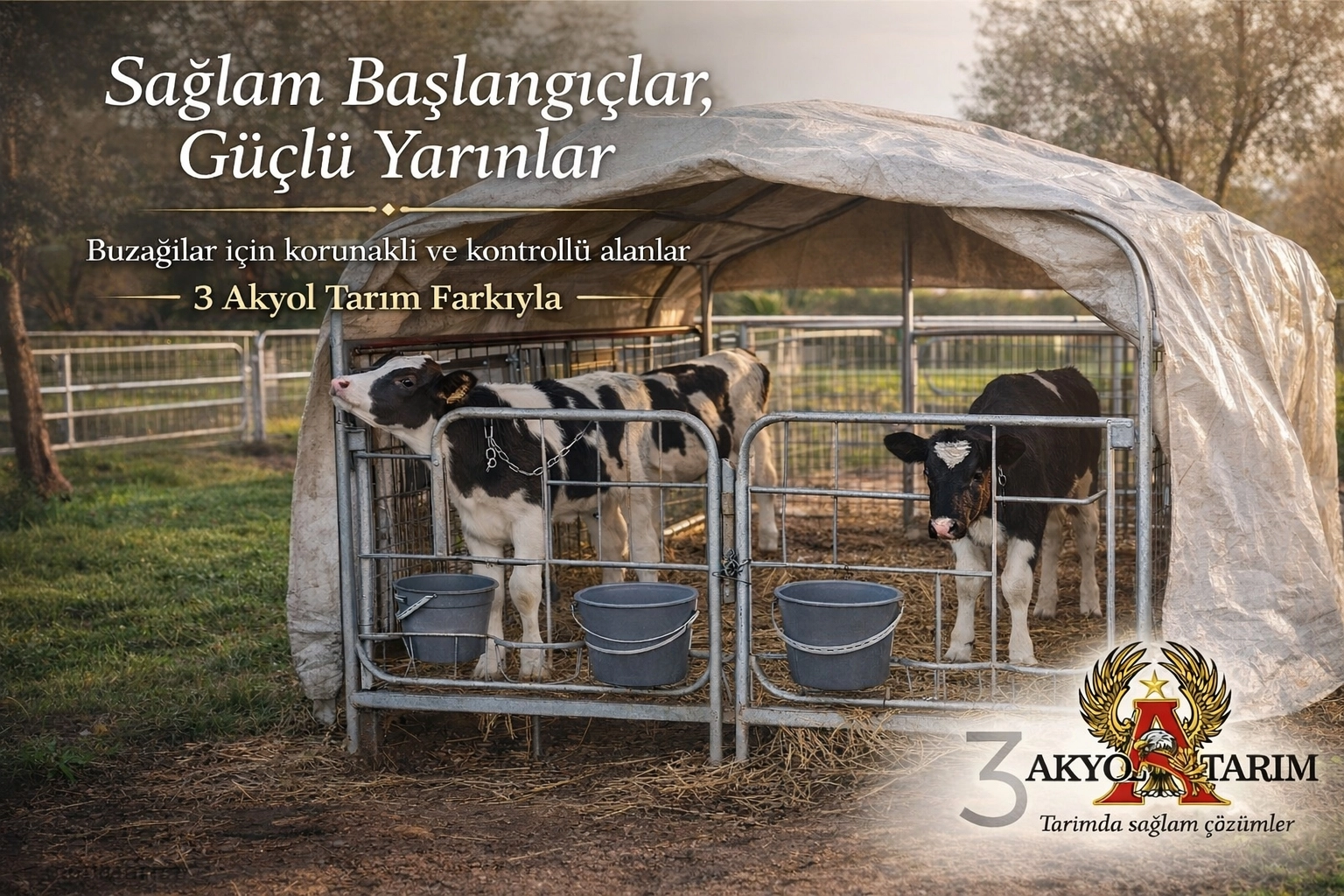 BUZAĞI KULÜBESİ