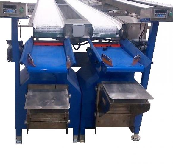 Kiraz Seçme ve Paketleme Hattı