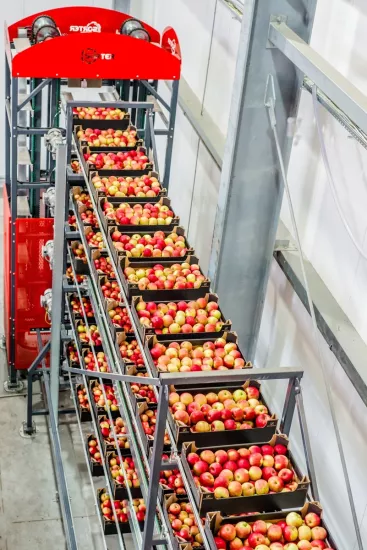 İŞLEME MAKİNELERİ SORTER - STALKO    