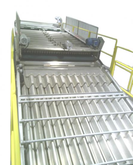 Kiraz Seçme ve Paketleme Hattı