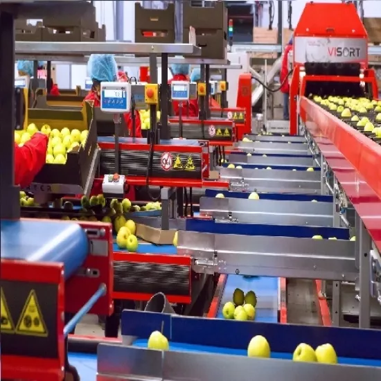 PAKETLEME MAKİNELERİ SORTER - STALKO   